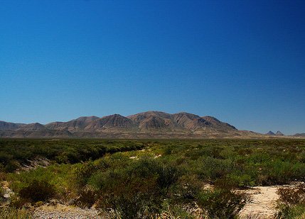 GOV: TX LAND, 5.29 AC., PECOS COUNTY-INVEST!STR S - 7