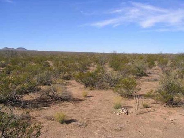 GOV: TX LAND, DELL VALLEY-OFF HWY 62 - SCENIC-CITY - 4