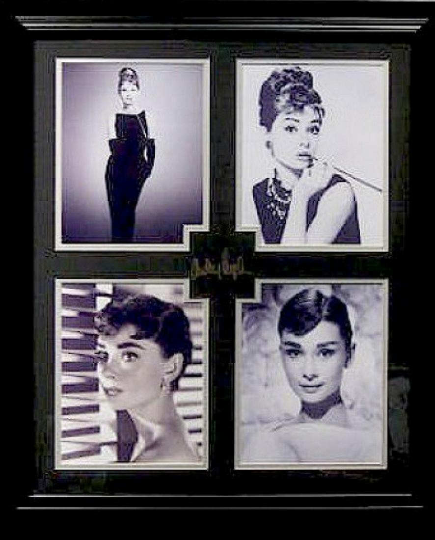 *Rare Audrey Hepburn Museum Framed Collage - Plate: Gov. File: M-18715 *Rare Audrey Hepburn Museum Framed Collage - Plate Signed Asset Type: CollectableShipping: $39.95. Item may be pick up only, or require additional shipping charges due to weight or