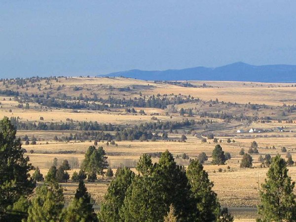 GOV: OR LAND, 20 AC., **FORECLOSURE** INVEST! B&A