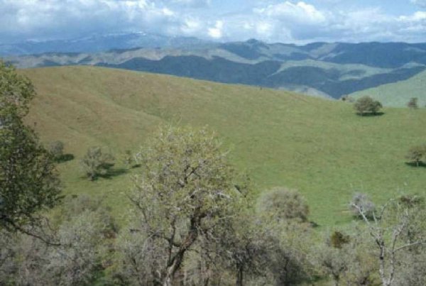 GOV: CA LAND, 2.54 AC., RECREATION, INVEST, B&A $