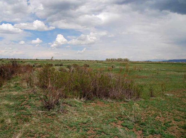 GOV: CO LAND, 5 AC., RANCHETTE-MOUNTAIN-HUNT/FISH