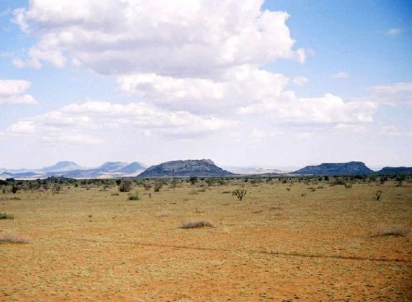 GOV: TX LAND, 640 AC., LARGE ACREAGE! PRESIDIO CO