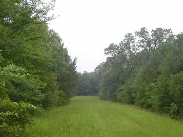 GOV: TX LAND, DEERWOOD LAKES-50 MILES TO HOUSTON, B
