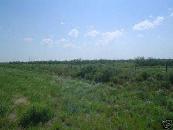 GOV: TX LAND, 120 AC., WARD COUNTY - B&A $483/mo