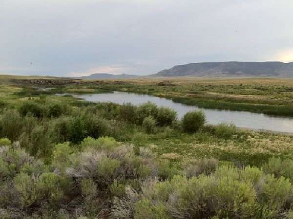 GOV: CO LAND, 5AC. COSTILLA COUNTY - B&A $149/mo - 4