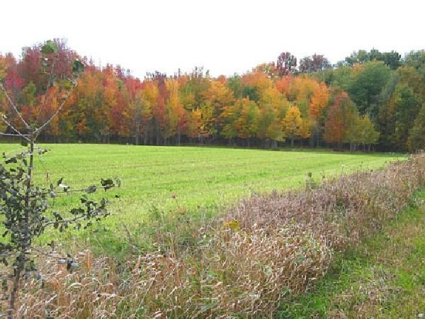 GOV: CANADA LAND, 50 AC. KENT COUNTY - B&A $277/mo