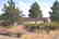 CA LAND, 1 AC. CALIFORNIA PINES, RECREATION-B&A $159/mo - 4