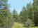 CA LAND, 1 AC. CALIFORNIA PINES, RECREATION-B&A $159/mo - 5