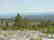 CA LAND, 1 AC. CALIFORNIA PINES, RECREATION-B&A $159/mo - 6