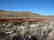 NV LAND, GOLCONDA STRAIGHT SALE - NO RESERVE! - 4