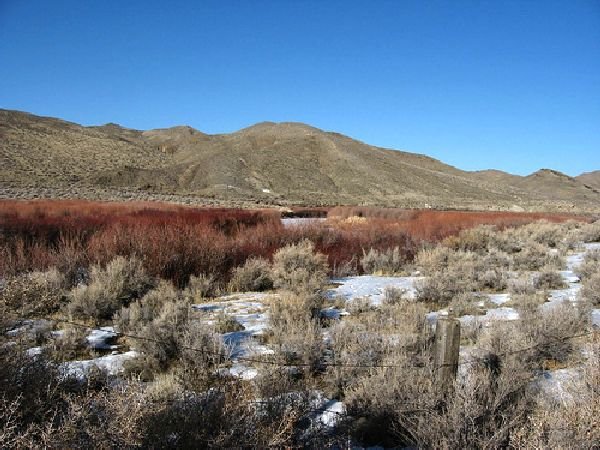 NV LAND, HUMBOLDT COUNTY - GOLCONDA STRAIGHT SALE! - 4