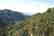 GOV: CA LAND, CEDARPINES STRAIGHT SALE LAND! - 3
