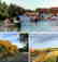 GOV: CO LAND, 35 AC. $19,751@$229/mo - BENT COUNTY!