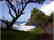 GOV: HI LAND, BIG ISLAND PARADISE STRAIGHT SALE! - 5