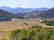 GOV: CO LAND, 5 AC. STRAIGHT SALE MOUNTAIN RANCHETTE! - 3