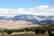 GOV: CO LAND, 5 AC. STRAIGHT SALE MOUNTAIN RANCHETTE! - 5