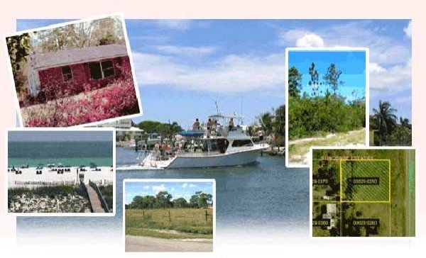 GOV: FL LAND, 1.25 AC. DISNEY & BEACH - STRAIGHT SALE!: 1.25 Acres, Polk County, FL This is a straight sale auction. What you bid is the price for this property plus a one time processing fee of $199 and a Buyer's Premium of 10%. - Bid with utmost confiden