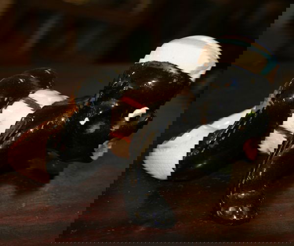 Little Joe Black Memorabilia: Little Joe Black Memorabilia-Thank you for viewing this Item. We hope that you are successful in your bidding. For over 30 years we have given the best possible customer service to our 1000's of repea