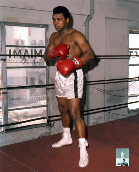 Muhammad Ali - At the Gym Photograph: Muhammad Ali - At the Gym Photograph - Bid with utmost confidence from GAA. We have been in business for over 35 years, and pride ourselves on perfect customer service. For more informat