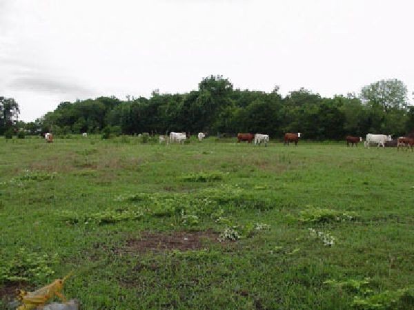 GOV: TX LAND, 40 AC. $19,749@$199/mo LOVING/WARD COUNTY: 40 Acres, Loving and Ward County, TX This auction is a bid-and-assume. Your bid is for the down payment and then assume the low balance of $19,749.00 @ $199.00/month plus a one time processing fee of 