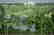 GOV: FL LAND, 1.25 AC. DISNEY & BEACH - STRAIGHT SALE! - 3