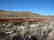 24: GOV: NV LAND, HUMBOLDT COUNTY CITY LOT STRAIGHT SAL - 4