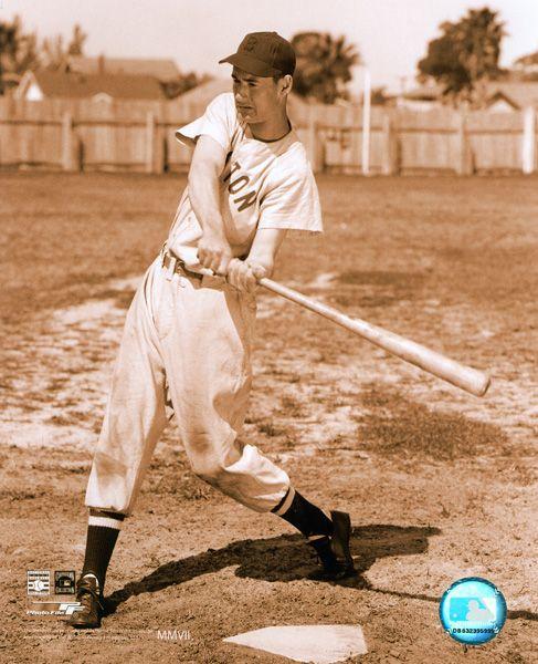 Ted Williams - Swinging (Sepia) Photograph: Ted Williams - Swinging (Sepia) Photograph - Bid with utmost confidence from GovernmentAuction.com. We have been in business for over 35 years, and pride ourselves on perfect customer service.