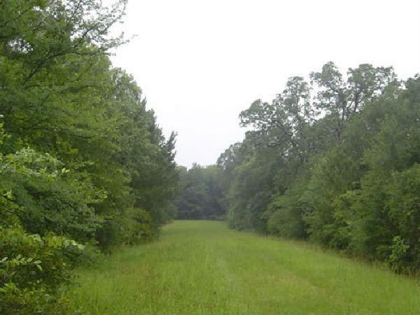 GOV: TX LAND, $9,700@$139/mo DEERWOOD LAKES-50 MILES TO: Waller County, TX This auction is a bid-and-assume. Your bid is for the down payment and then assume the low balance of $9,700.00 @ $139.00/month plus a one time processing fee of $199 and a Buyer's P