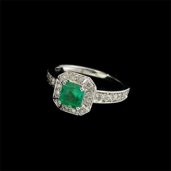 APP:14.2k 18kt W Gold 0.55CT Emerald & Diamond Ring: 18 kt. White Gold, 0.55CT Emerald and Diamond Ring - Appraisal Value: $14.2K - Bid with utmost confidence from GovernmentAuction.com. We have been in business for over 35 years, and pride ourselves on