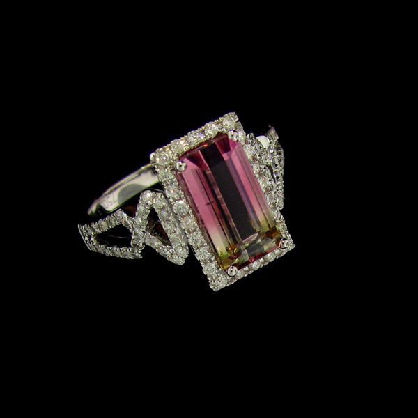 APP: 7.5k 18 kt. White Gold, 3.12CT Bi-Color Tourmaline: 18 kt. White Gold, 3.12CT Bi-Color Tourmaline and Diamond Ring - Appraisal Value: $7.4K - Bid with utmost confidence from GovernmentAuction.com. We have been in business for over 35 years, and pride o