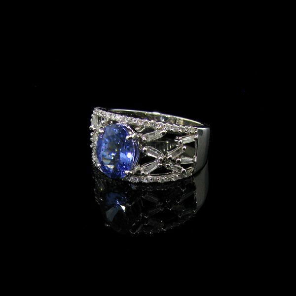 APP: 16k 14kt White Gold 1CT Tanzanite & Diamond Ring: 14 kt. White Gold, 1.87CT Tanzanite and Diamond Ring - Appraisal Value: $16.7K - Bid with utmost confidence from GovernmentAuction.com. We have been in business for over 35 years, and pride ourselves