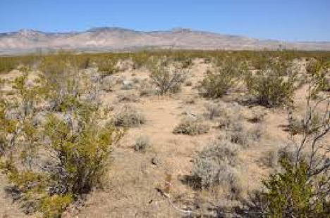 CASH SALE! LOT IS IN KERN COUNTY, CALIFORNIA! FILE #749021 (VAULT_PNR): Gov File #L-27427, Kern County, CA APN 285-073-01-00-2 LOT 424 TRACT 3071 The lot is located off major highway 395 in Sounthern California, Kern County in California City. Start your land portfolio