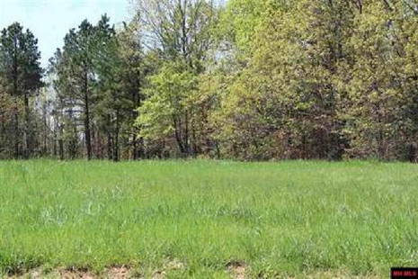 Gorgeous Home Site In Cherokee Village! Just Take Over Payments! (Vault_PNR): Gov File #L-26134, Sharp County Arkansas APN 242-00343-000 LOT 5 BLOCK 12 ADDITION CHICKASAW SECOND Cherokee Village Arkansas is a secure, affordable, and welcoming community set among the stunning