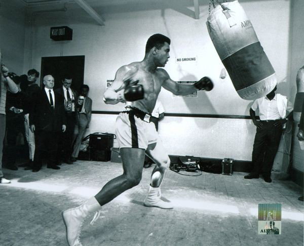 Muhammad Ali Photograph: Muhammad Ali Photograph - Bid with utmost confidence from GovernmentAuction.com. We have been in business for over 35 years, and pride ourselves on perfect customer service.