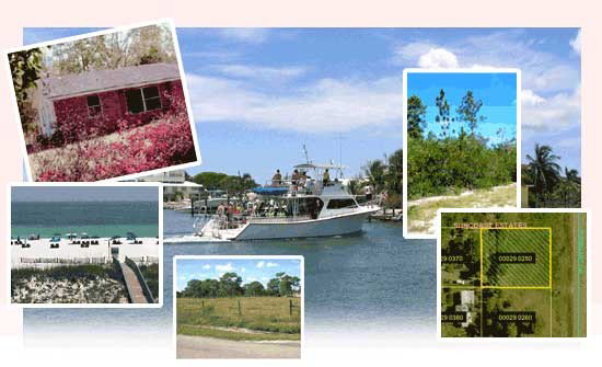 GOV: FL LAND, 1.25 AC OFF ROAD HEAVEN! - STRAIGHT SALE!: 1.25 Acres, Polk County, FL This is a straight sale auction. What you bid is the price for this property plus a one time processing fee of $199 and a Buyer's Premium of 15%. - Bid with utmost confiden