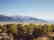 GOV: NV LAND, 81 AC. $39,764@$342/mo LARGE ACREAGE! - 4