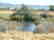 GOV: NV LAND, 81 AC. $39,764@$342/mo LARGE ACREAGE! - 5
