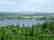 GOV: FL LAND, 1.25 AC HUNTING/CAMPING - STRAIGHT SALE! - 4