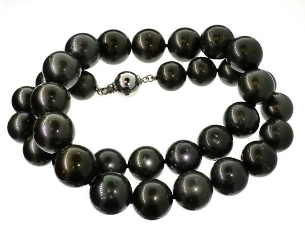 APP: 13k Round Tahitian Cultured Pearl Necklace: Round Tahitian South Sea Cultured Pearl Necklace - Appraisal Value: $13.7K