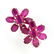 APP: 8k 8CT Oval Cut Ruby Sterl Silver Earrings