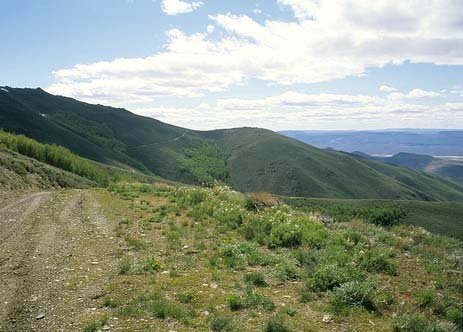 GOV: NV LAND, 41.14 AC. $19,791@$227/mo HUNT/CAMP!