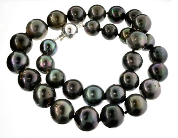 APP: 21k 15.37-11.72mm Tahitian Cultured Pearl Necklace: 15.37-11.72mm Tahitian South S