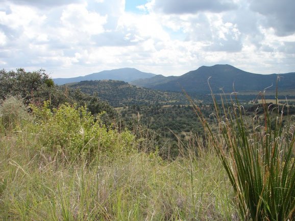 GOV: TX LAND, 6.56 AC. DAVIS COUNTY STRAIGHT SALE!: 6.56 Acres, Jeff Davis County, TX - This is a s