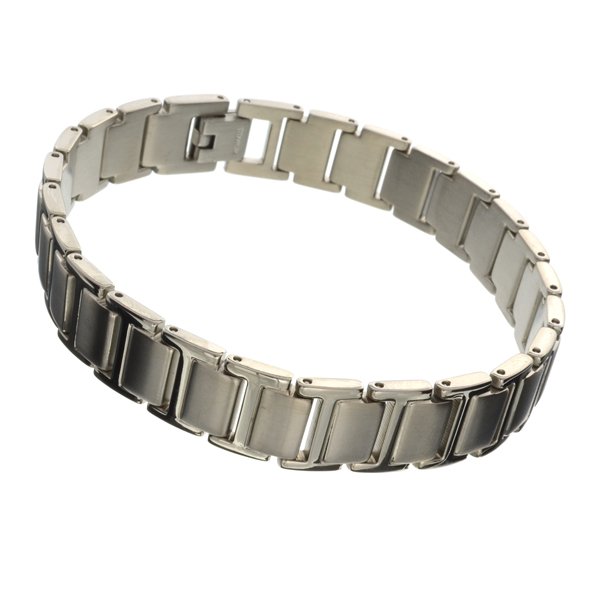 Exquisite Titanium Bracelet: Exquisite Titanium Bracelet Item Profile: GOV FILE # 81841Asset Type: Bracelet