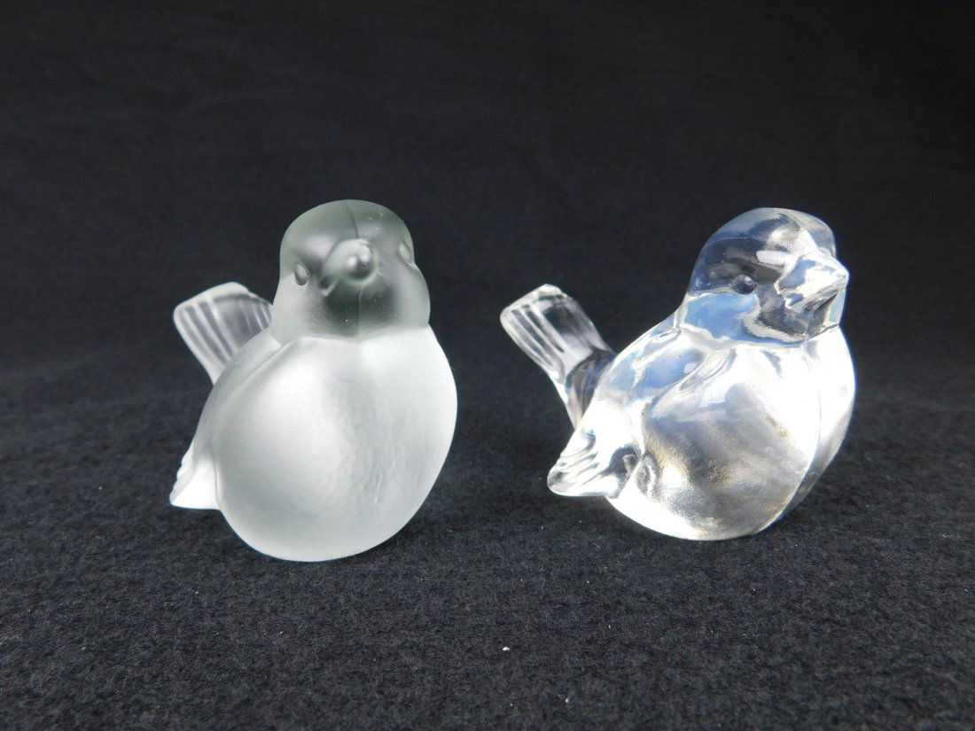 Fenton Birds (1 of 2)