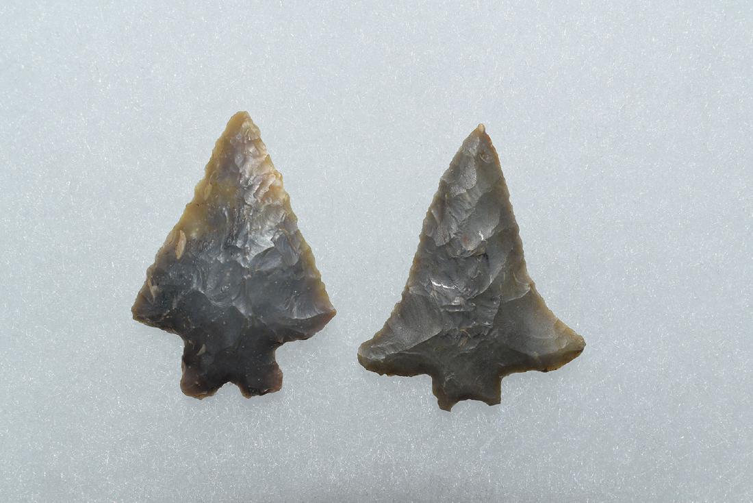 Nice pair of Fox Valley Bifurcated points, Longest (1 of 1)