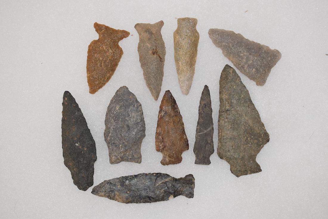 Lot of 10 East Coast points, longest 3.1/2” , Better (1 of 1)