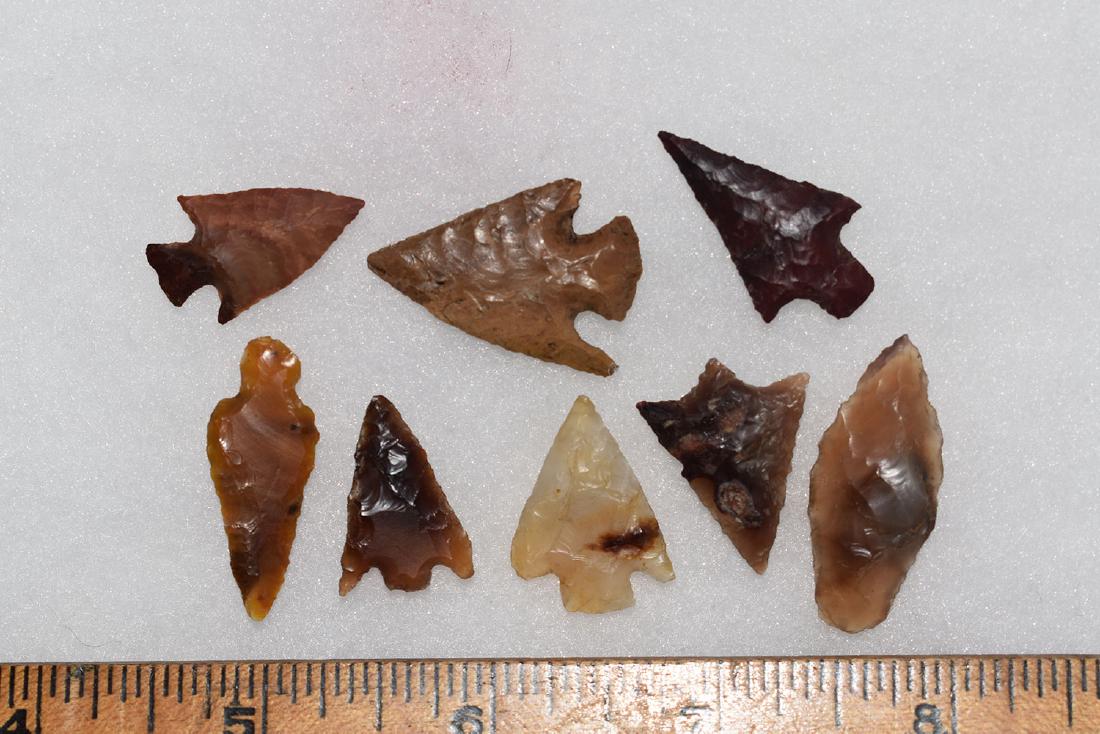 Lot of 8 Gem Grade Western Bird Points. (1 of 1)