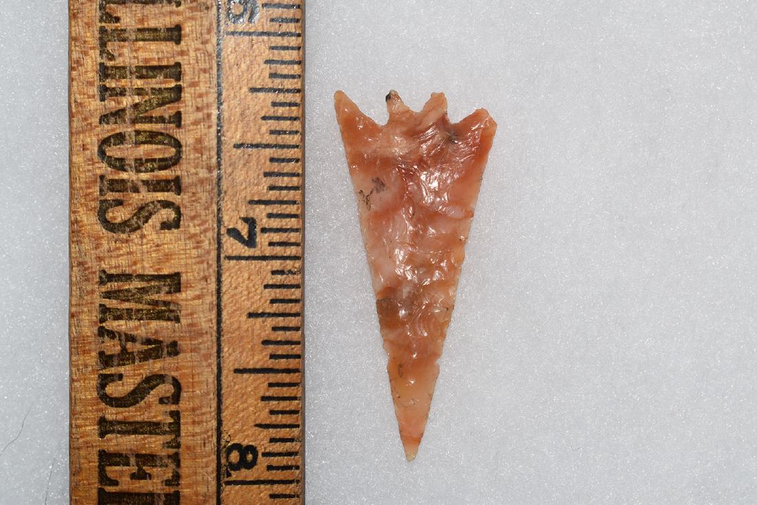 Great Columbia River Gem Bird Point (1 of 1)